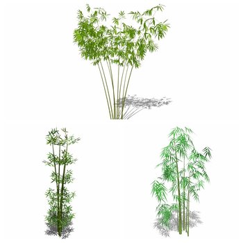 景观植物组合[模型id:28021]