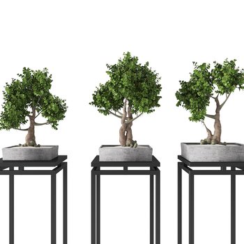 模型 植物花草 盆栽盆景 新中式植物盆栽[模型id:364196]  新中式植物