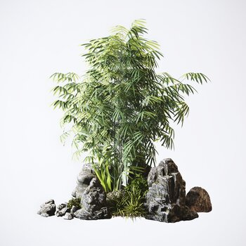 新中式园艺假山石头竹子植物组合