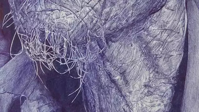 震撼!00后的圆珠笔画,让专家都不敢相信