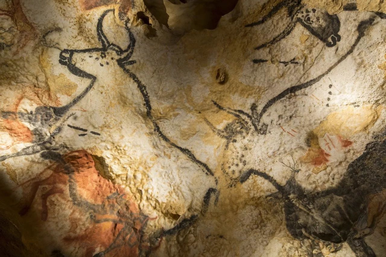 法国洞穴壁画艺术中心设计现代展馆展厅-发现