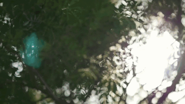 谁不渴望住上这样的豪宅除了垂直森林还有炫酷的自动停车系统