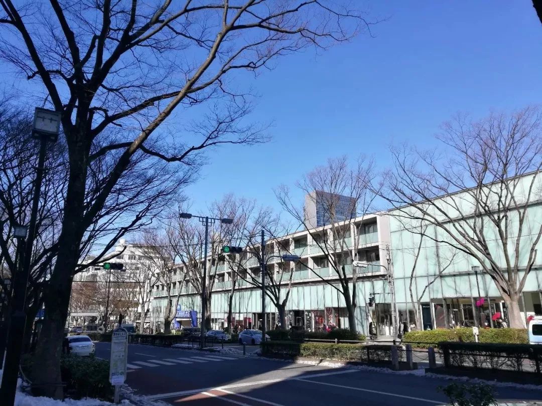 表参道之丘于2006年2月11日开幕,全长约250米,分为地上三层和地下三层