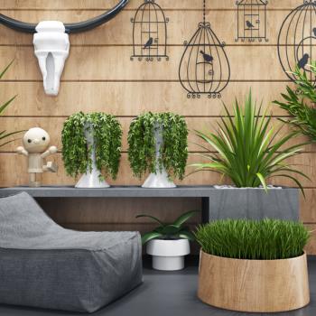 绿植盆栽沙发墙饰3d模型