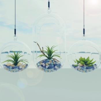 悬挂玻璃植物装饰