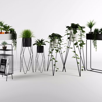 现代植物盆栽花架组合3d模型