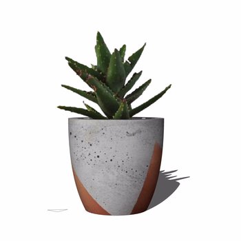 DDS设计邦-植物2D