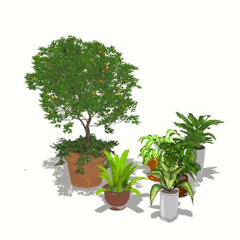 DDS设计邦-植物