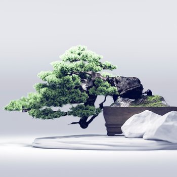 新中式盆景盆栽3d模型