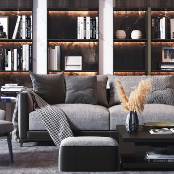 现代沙发茶几书柜组合