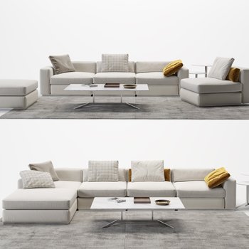 Flexform 现代沙发茶几组合