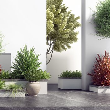 现代景观植物组合