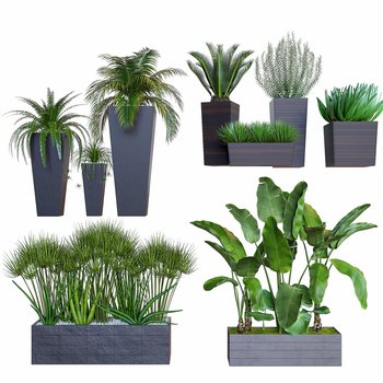 室外盆栽植物槽3d模型
