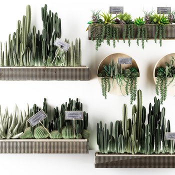植物吊兰花艺盆景3d模型