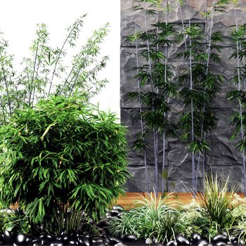 现代竹子植物石头组合