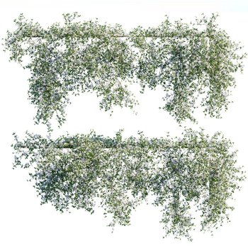 藤蔓植物3d模型