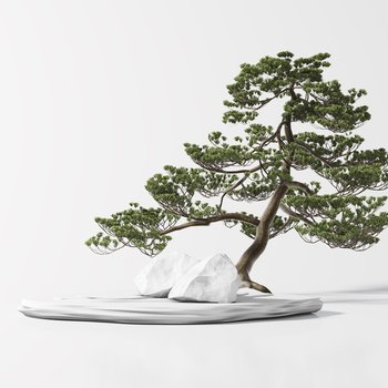 新中式松树盆景盆栽3d模型