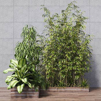 室外植物竹子组合