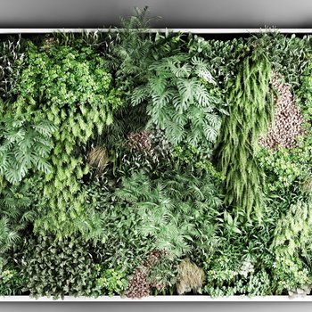 现代植物绿植墙
