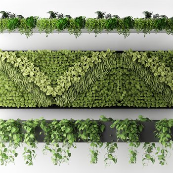 植物吊兰花艺盆景盆栽绿植挂饰植物绿植墙3d模型