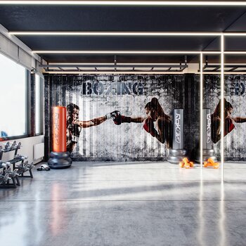 现代健身房搏击室3d模型