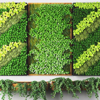 植物墙
