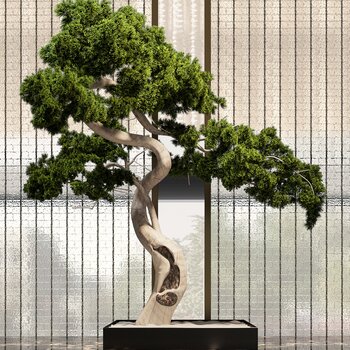 松树盆栽摆件3d模型