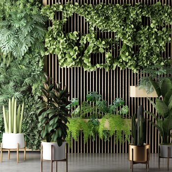 植物绿植墙组合