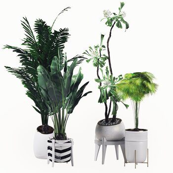 室内盆栽植物组合3d模型