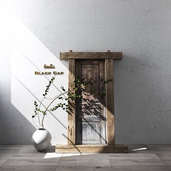 现代木质门