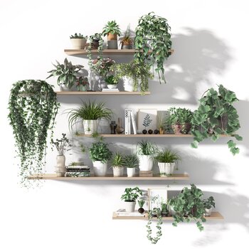 现代植物盆栽装饰摆件组合3d模型