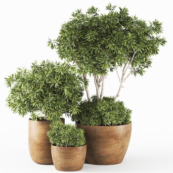 现代盆栽植物组合 3d模型