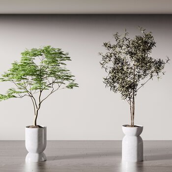 现代盆栽盆景植物3d模型