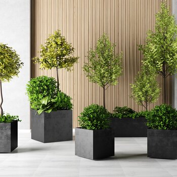 现代植物吊盆景组合 3d模型