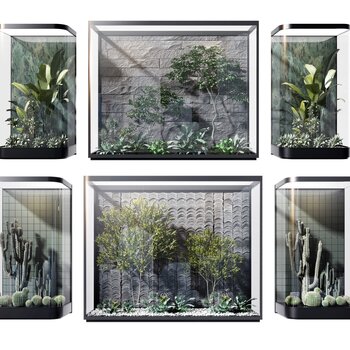 现代室内玻璃旱景景观3d模型