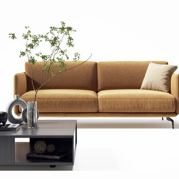 意大利 Ditre Italia 现代沙发茶几组合3d模型