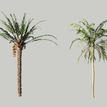 现代棕榈树组合
