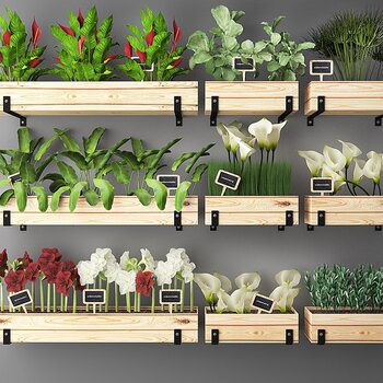 现代植物墙3d模型