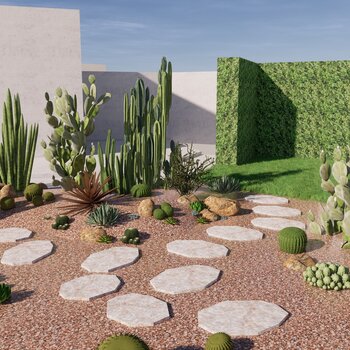 现代沙漠植物景观