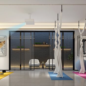 现代风格瑜伽室 3d模型