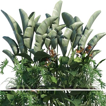 现代芭蕉叶绿植3d模型