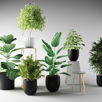 现代植物组合3d模型
