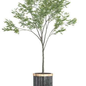 现代盆栽3d模型