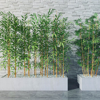 现代竹子3d模型