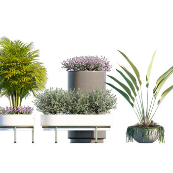 现代植物盆栽盆景3d模型