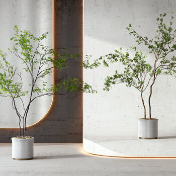 现代盆栽盆景3d模型