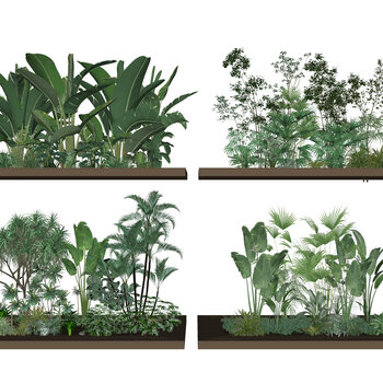 现代植物堆su模型