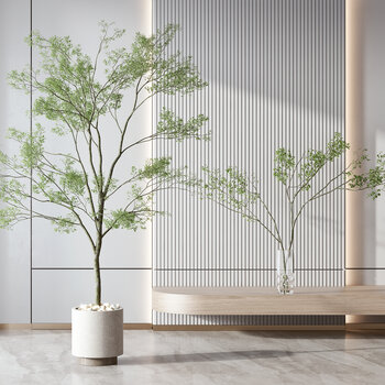  现代植物盆栽组合3d模型