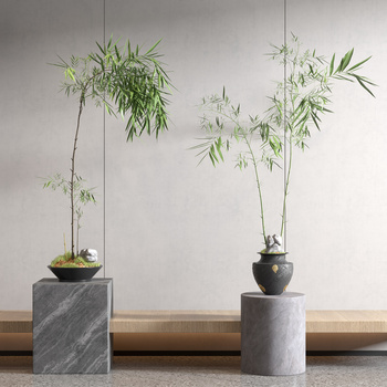 新中式植物3d模型