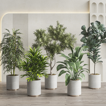 现代植物盆栽组合3d模型